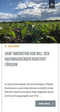 Hanf Innovation Hub ( Wirtschaftsnews )